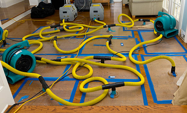Professional Crawl Space Water Removal technician working in Crandall, TX